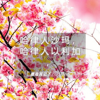 Picture 05 - 撒 母 耳 记 下 23:25 CUVS - 哈 律 人 沙 玛 ， 哈 律 人 以 利 加 - Bible Verse Picture