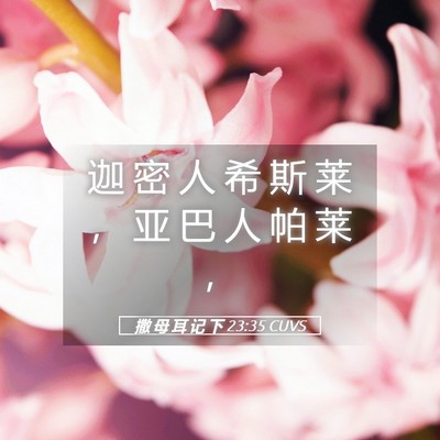 Picture 05 - 撒 母 耳 记 下 23:35 CUVS - 迦 密 人 希 斯 莱 ， 亚 巴 人 帕 莱 - Bible Verse Picture