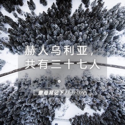 Picture 05 - 撒 母 耳 记 下 23:39 CUVS - 赫 人 乌 利 亚 ， 共 有 三 十 七 人 - Bible Verse Picture