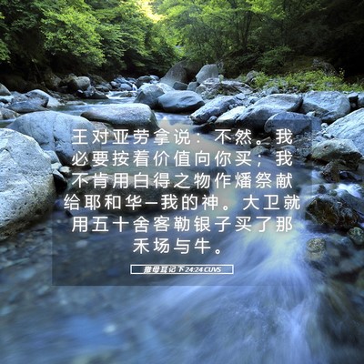Picture 05 - 撒 母 耳 记 下 24:24 CUVS - 王 对 亚 劳 拿 说 ： 不 然 。 我 必 - Bible Verse Picture