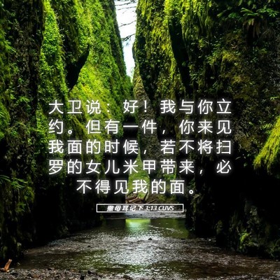 Picture 05 - 撒 母 耳 记 下 3:13 CUVS - 大 卫 说 ： 好 ！ 我 与 你 立 约 。 - Bible Verse Picture