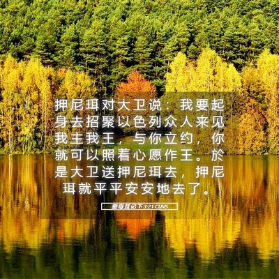 Picture 05 - 撒 母 耳 记 下 3:21 CUVS - 押 尼 珥 对 大 卫 说 ： 我 要 起 身 - Bible Verse Picture