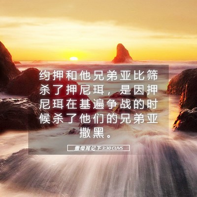 Picture 05 - 撒 母 耳 记 下 3:30 CUVS - 约 押 和 他 兄 弟 亚 比 筛 杀 了 押 - Bible Verse Picture