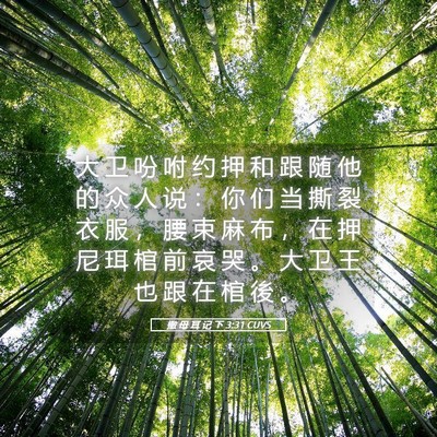 Picture 05 - 撒 母 耳 记 下 3:31 CUVS - 大 卫 吩 咐 约 押 和 跟 随 他 的 众 - Bible Verse Picture