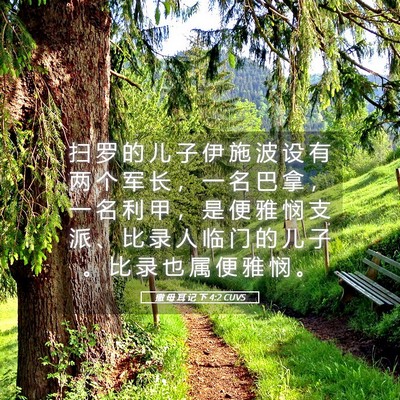 Picture 05 - 撒 母 耳 记 下 4:2 CUVS - 扫 罗 的 儿 子 伊 施 波 设 有 两 个 - Bible Verse Picture