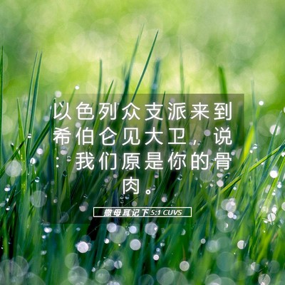 Picture 05 - 撒 母 耳 记 下 5:1 CUVS - 以 色 列 众 支 派 来 到 希 伯 仑 见 - Bible Verse Picture