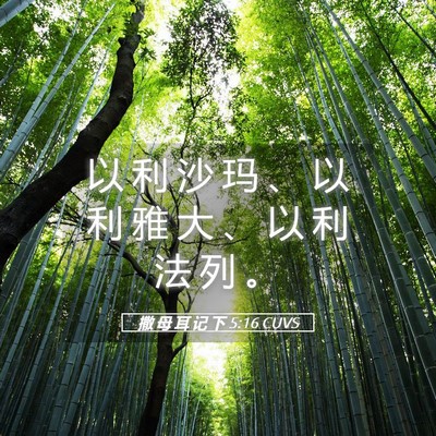 Picture 05 - 撒 母 耳 记 下 5:16 CUVS - 以 利 沙 玛 、 以 利 雅 大 、 以 利 - Bible Verse Picture