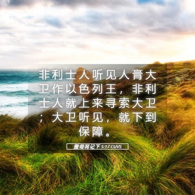 Picture 05 - 撒 母 耳 记 下 5:17 CUVS - 非 利 士 人 听 见 人 膏 大 卫 作 以 - Bible Verse Picture