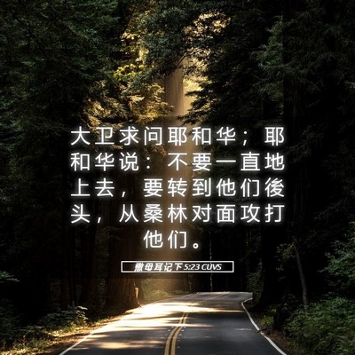 Picture 05 - 撒 母 耳 记 下 5:23 CUVS - 大 卫 求 问 耶 和 华 ； 耶 和 华 说 - Bible Verse Picture