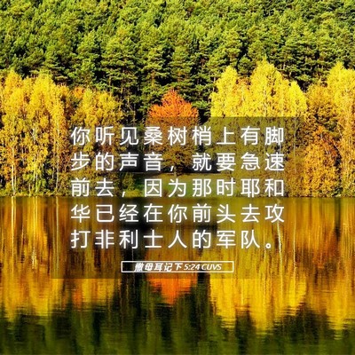 Picture 05 - 撒 母 耳 记 下 5:24 CUVS - 你 听 见 桑 树 梢 上 有 脚 步 的 声 - Bible Verse Picture