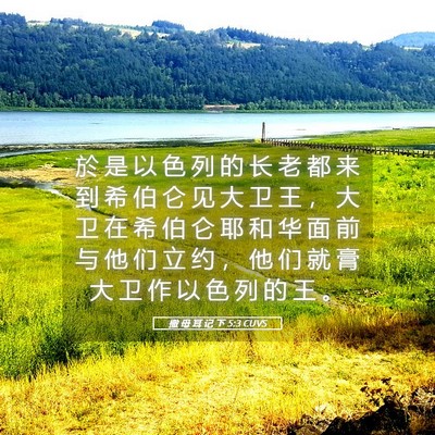 Picture 05 - 撒 母 耳 记 下 5:3 CUVS - 於 是 以 色 列 的 长 老 都 来 到 希 - Bible Verse Picture