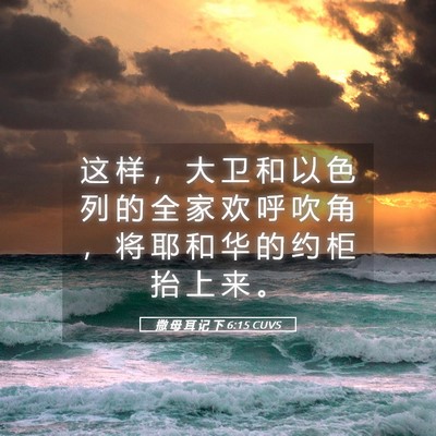 Picture 05 - 撒 母 耳 记 下 6:15 CUVS - 这 样 ， 大 卫 和 以 色 列 的 全 家 - Bible Verse Picture