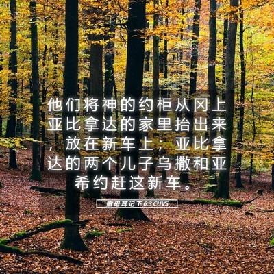 Picture 05 - 撒 母 耳 记 下 6:3 CUVS - 他 们 将 神 的 约 柜 从 冈 上 亚 比 - Bible Verse Picture