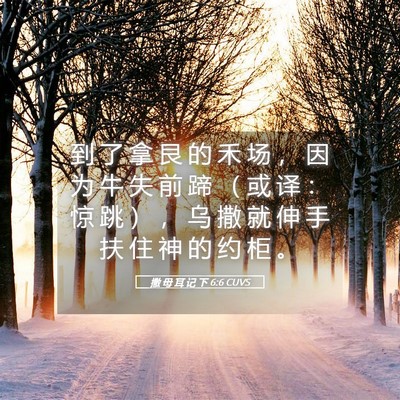 Picture 05 - 撒 母 耳 记 下 6:6 CUVS - 到 了 拿 艮 的 禾 场 ， 因 为 牛 失 - Bible Verse Picture
