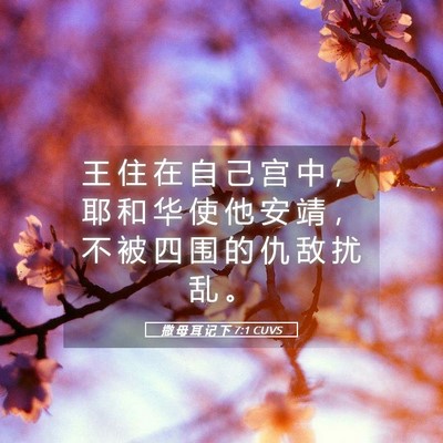 Picture 05 - 撒 母 耳 记 下 7:1 CUVS - 王 住 在 自 己 宫 中 ， 耶 和 华 使 - Bible Verse Picture