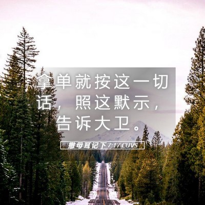 Picture 05 - 撒 母 耳 记 下 7:17 CUVS - 拿 单 就 按 这 一 切 话 ， 照 这 默 - Bible Verse Picture