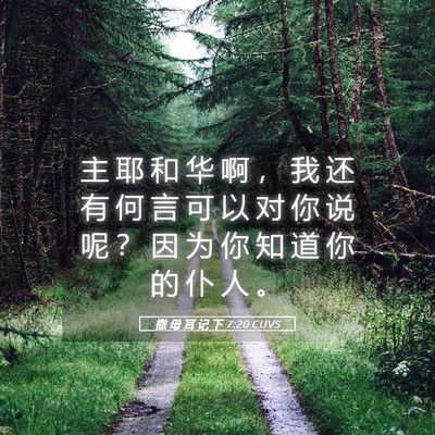 Picture 05 - 撒 母 耳 记 下 7:20 CUVS - 主 耶 和 华 啊 ， 我 还 有 何 言 可 - Bible Verse Picture