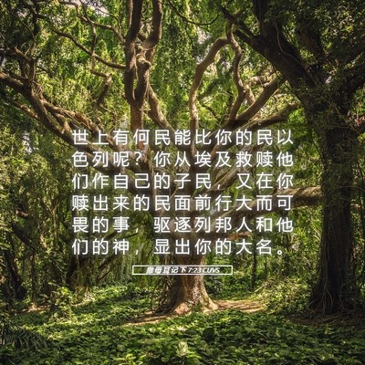 Picture 05 - 撒 母 耳 记 下 7:23 CUVS - 世 上 有 何 民 能 比 你 的 民 以 色 - Bible Verse Picture