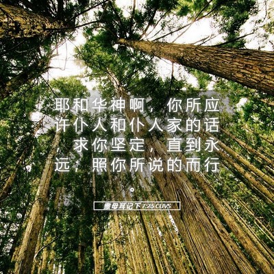 Picture 05 - 撒 母 耳 记 下 7:25 CUVS - 耶 和 华 神 啊 ， 你 所 应 许 仆 人 - Bible Verse Picture