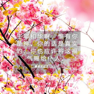 Picture 05 - 撒 母 耳 记 下 7:28 CUVS - 主 耶 和 华 啊 ， 惟 有 你 是 神 。 - Bible Verse Picture