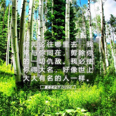 Picture 05 - 撒 母 耳 记 下 7:9 CUVS - 你 无 论 往 哪 里 去 ， 我 常 与 你 - Bible Verse Picture