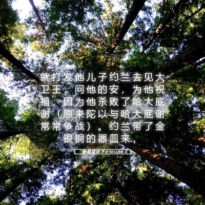 Picture 05 - 撒 母 耳 记 下 8:10 CUVS - 就 打 发 他 儿 子 约 兰 去 见 大 卫 - Bible Verse Picture