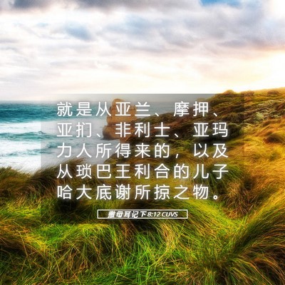 Picture 05 - 撒 母 耳 记 下 8:12 CUVS - 就 是 从 亚 兰 、 摩 押 、 亚 扪 、 - Bible Verse Picture