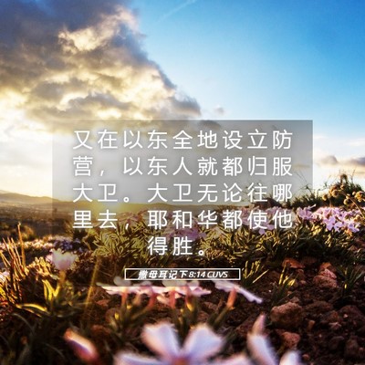 Picture 05 - 撒 母 耳 记 下 8:14 CUVS - 又 在 以 东 全 地 设 立 防 营 ， 以 - Bible Verse Picture