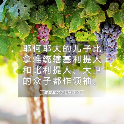 Picture 05 - 撒 母 耳 记 下 8:18 CUVS - 耶 何 耶 大 的 儿 子 比 拿 雅 统 辖 - Bible Verse Picture