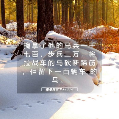 Picture 05 - 撒 母 耳 记 下 8:4 CUVS - 擒 拿 了 他 的 马 兵 一 千 七 百 ， - Bible Verse Picture