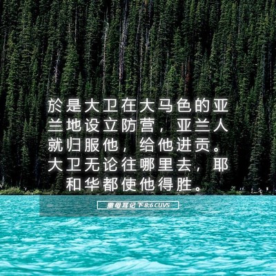 Picture 05 - 撒 母 耳 记 下 8:6 CUVS - 於 是 大 卫 在 大 马 色 的 亚 兰 地 - Bible Verse Picture