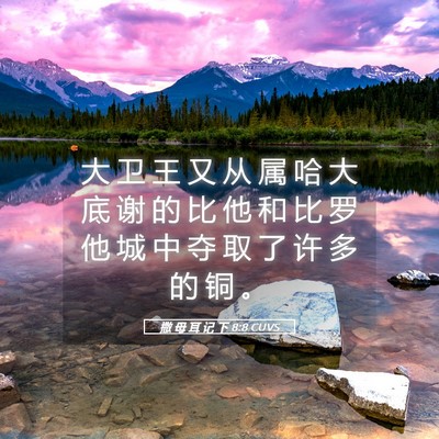 Picture 05 - 撒 母 耳 记 下 8:8 CUVS - 大 卫 王 又 从 属 哈 大 底 谢 的 比 - Bible Verse Picture