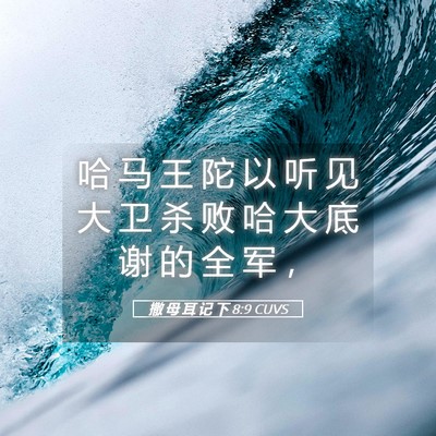 Picture 05 - 撒 母 耳 记 下 8:9 CUVS - 哈 马 王 陀 以 听 见 大 卫 杀 败 哈 - Bible Verse Picture