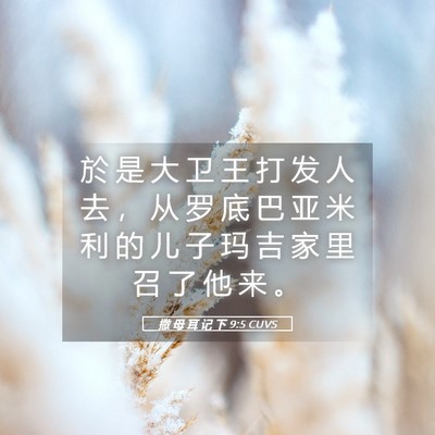 Picture 05 - 撒 母 耳 记 下 9:5 CUVS - 於 是 大 卫 王 打 发 人 去 ， 从 罗 - Bible Verse Picture