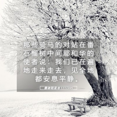 Picture 05 - 撒 迦 利 亚 书 1:11 CUVS - 那 些 骑 马 的 对 站 在 番 石 榴 树 - Bible Verse Picture