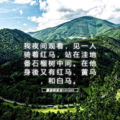 Picture 05 - 撒 迦 利 亚 书 1:8 CUVS - 我 夜 间 观 看 ， 见 一 人 骑 着 红 - Bible Verse Picture