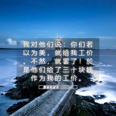 Picture 05 - 撒 迦 利 亚 书 11:12 CUVS - 我 对 他 们 说 ： 你 们 若 以 为 美 - Bible Verse Picture