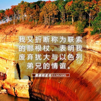 Picture 05 - 撒 迦 利 亚 书 11:14 CUVS - 我 又 折 断 称 为 联 索 的 那 根 杖 - Bible Verse Picture