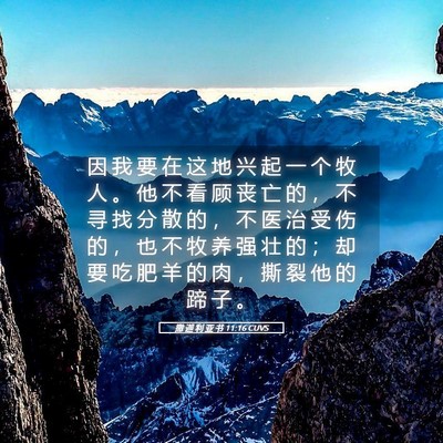 Picture 05 - 撒 迦 利 亚 书 11:16 CUVS - 因 我 要 在 这 地 兴 起 一 个 牧 人 - Bible Verse Picture