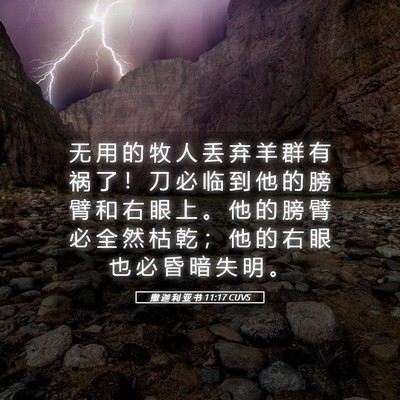 Picture 05 - 撒 迦 利 亚 书 11:17 CUVS - 无 用 的 牧 人 丢 弃 羊 群 有 祸 了 - Bible Verse Picture
