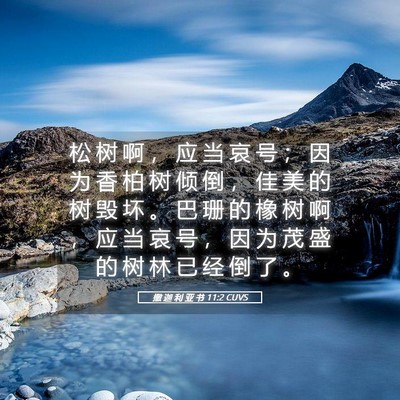 Picture 05 - 撒 迦 利 亚 书 11:2 CUVS - 松 树 啊 ， 应 当 哀 号 ； 因 为 香 - Bible Verse Picture