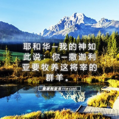 Picture 05 - 撒 迦 利 亚 书 11:4 CUVS - 耶 和 华 ─ 我 的 神 如 此 说 ： 你 - Bible Verse Picture