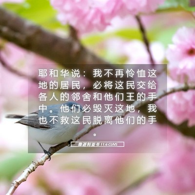 Picture 05 - 撒 迦 利 亚 书 11:6 CUVS - 耶 和 华 说 ： 我 不 再 怜 恤 这 地 - Bible Verse Picture