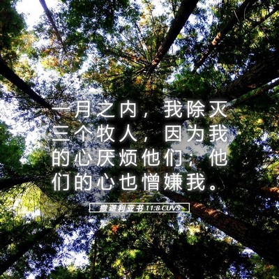 Picture 05 - 撒 迦 利 亚 书 11:8 CUVS - 一 月 之 内 ， 我 除 灭 三 个 牧 人 - Bible Verse Picture
