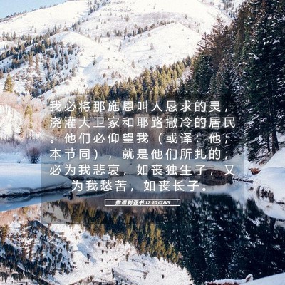 Picture 05 - 撒 迦 利 亚 书 12:10 CUVS - 我 必 将 那 施 恩 叫 人 恳 求 的 灵 - Bible Verse Picture