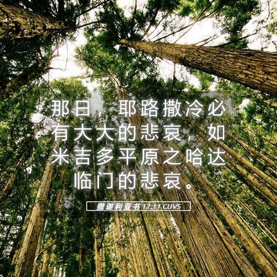 Picture 05 - 撒 迦 利 亚 书 12:11 CUVS - 那 日 ， 耶 路 撒 冷 必 有 大 大 的 - Bible Verse Picture