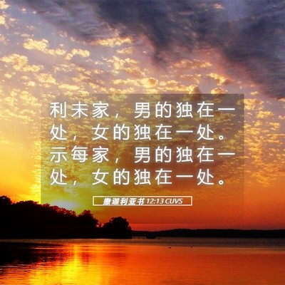 Picture 05 - 撒 迦 利 亚 书 12:13 CUVS - 利 未 家 ， 男 的 独 在 一 处 ， 女 - Bible Verse Picture