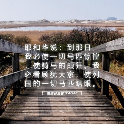 Picture 05 - 撒 迦 利 亚 书 12:4 CUVS - 耶 和 华 说 ： 到 那 日 ， 我 必 使 - Bible Verse Picture