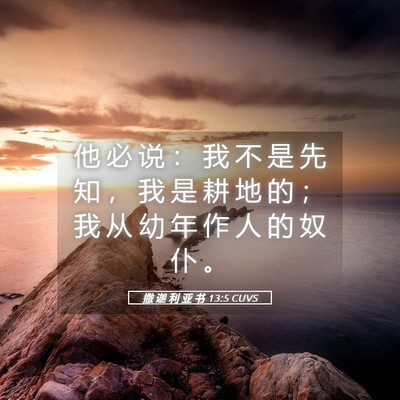 Picture 05 - 撒 迦 利 亚 书 13:5 CUVS - 他 必 说 ： 我 不 是 先 知 ， 我 是 - Bible Verse Picture