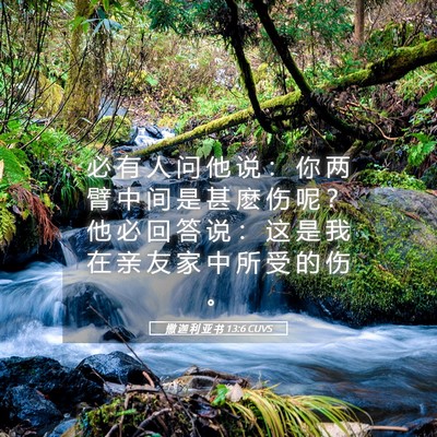 Picture 05 - 撒 迦 利 亚 书 13:6 CUVS - 必 有 人 问 他 说 ： 你 两 臂 中 间 - Bible Verse Picture